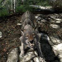 BS5C-creature-Timber Wolf.jpg
