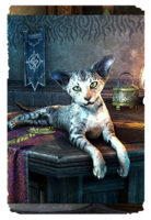 ON-card-Mages Guild Sentry Cat.png