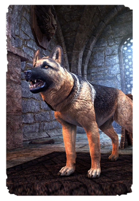 Online:Saarthal Shepherd - The Unofficial Elder Scrolls Pages (UESP)