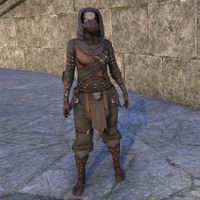 Thieves Guild Leathers (female)
