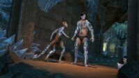 ON-crown store-Mirrormoor Metamorphosis.jpg