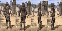 ON-item-armor-Cotton-Jerkin-Breton-Female.jpg