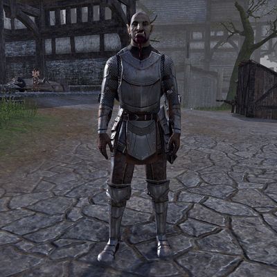 Online:Watchman Hagard - The Unofficial Elder Scrolls Pages (UESP)