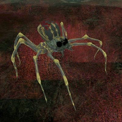 Skyrim:Spiders - The Unofficial Elder Scrolls Pages (UESP)