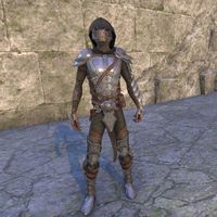 Elven Hero Armor (male)