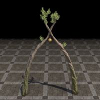 ON-furnishing-Dawnwood Orange Light, Tall Sprouted Arch 02.jpg