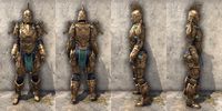 ON-item-armor-Arkthzand Armory Heavy Female.jpg