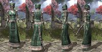 ON-item-armor-Homespun-Robe-Khajiit-Female.jpg