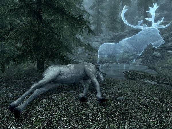 Skyrim:Ill Met By Moonlight - The Unofficial Elder Scrolls Pages (UESP)
