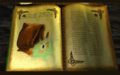 Thumbnail for version as of 02:18, 9 May 2025