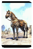 ON-card-Treasure Hunter's Horse.png