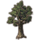 ON-icon-furnishing-Tree, Ancient Fig.png