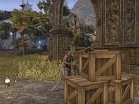 ON-quest-Welcome to Cyrodiil (Pact).jpg