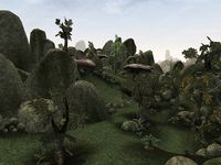 TR3-place-Ascadian Bluffs.jpg