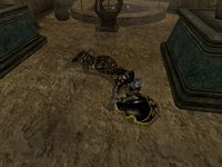 MW-quest-The Imprisonment of Mastrius bug.jpg