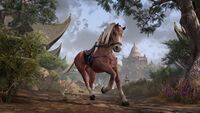ON-crown store-Riverhold Chestnut Horse.jpg