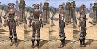 ON-item-armor-Hide-Nord-Female.jpg