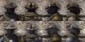 Thumbnail for version as of 03:49, 14 January 2025