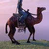 ON-mount-Hel Ra Camel of Kingship.jpg