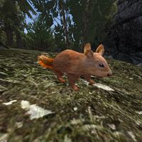 TD3-creature-Squirrel.jpg