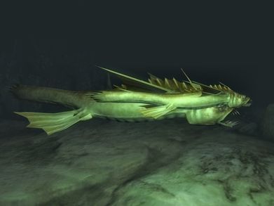 Giant slaughterfish next to a regular sized one (Oblivion)