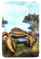 ON-card-Prodigious Brass Mudcrab.png