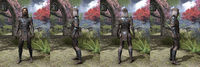ON-item-armor-Heavy-Assassins League-Male.jpg