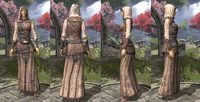 ON-item-armor-Homespun-Robe-Altmer-Female.jpg