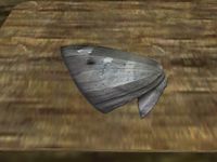 TD3-ing-Ash Moth Wing.jpg