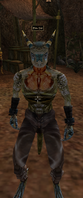 TR3-npc-Fin-Tei.png