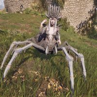 OBR-creature-Spider Daedra.jpg