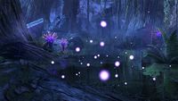 ON-crown store-Amethyst Candlefly Gathering.jpg