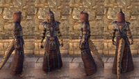 ON-item-armor-Argonian Light Robe 1 Male.jpg