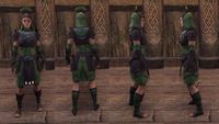ON-item-armor-Ivory Brigade Light (Jerkin) Female.jpg