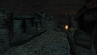 SHOTN-interior-Ragnvald Barrow 04.jpg