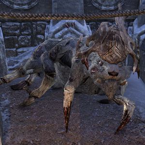 Online:Pack Echatere - The Unofficial Elder Scrolls Pages (UESP)