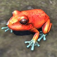 ON-creature-Frog 03.jpg