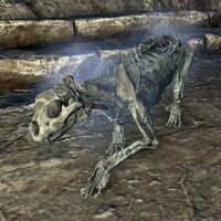 ON-creature-Frost-Cursed Skeletal Sabre Cat.jpg