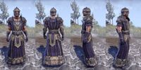 ON-item-armor-Silk-Robe-Nord-Male.jpg