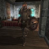 OB-npc-Neville (armored).jpg