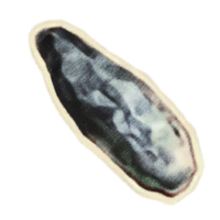 OBR-icon-misc-Soul Gem.png