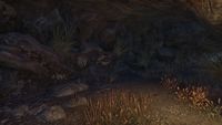 ON-interior-Eimhir's Cavern 05.jpg
