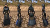 ON-item-armor-Nibenese Court Wizard Female.jpg