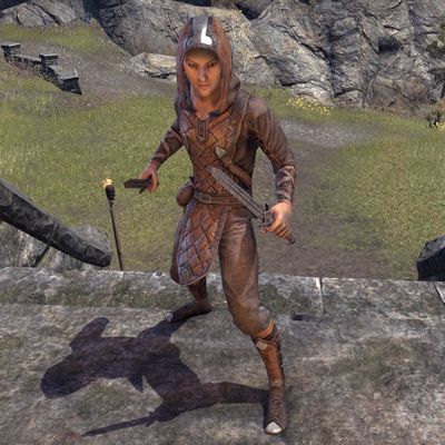 Online:Bitterhand Rogue - The Unofficial Elder Scrolls Pages (UESP)