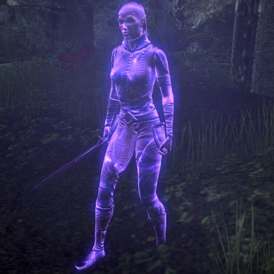 Online Spectral Warrior The Unofficial Elder Scrolls Pages UESP   400px ON Npc Spectral Warrior 