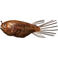 SR-icon-food-Cooked Angler Larvae.png