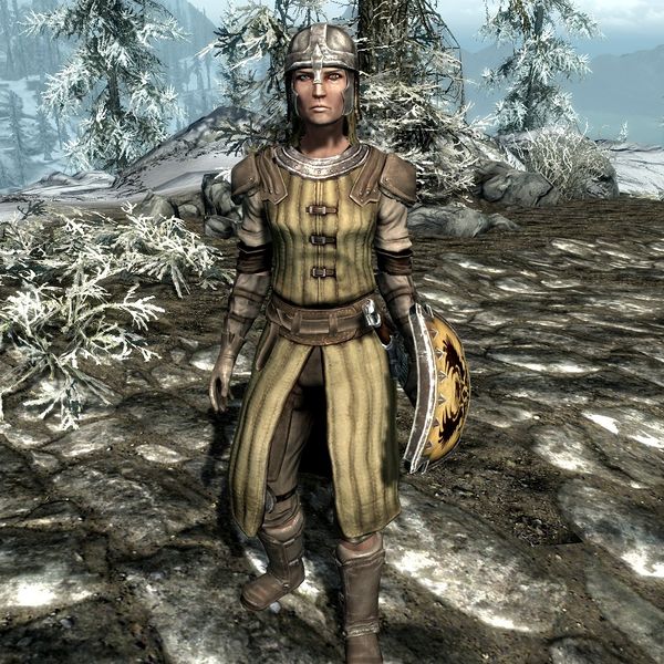 Beyond SkyrimCyrodiil/Bruma Guard The Unofficial Elder Scrolls Pages