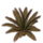 ON-icon-furnishing-Fern, Hearty Autumn.png