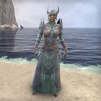 ON-item-armor-Divine Prosecution Style Light Robes.jpg