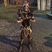 The Elder Scrolls: Call to Arms: The Elder Scrolls Online Character Pa